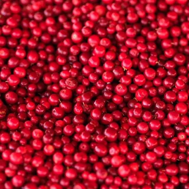 Puolukka 10 kg