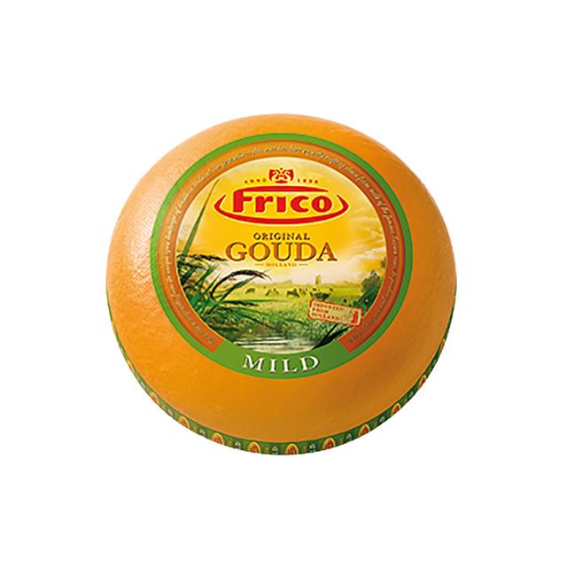 Gouda