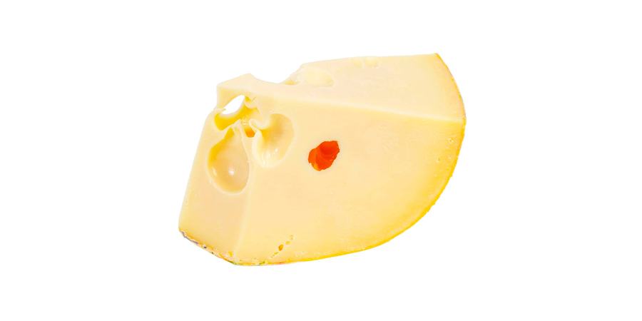 MAASDAM