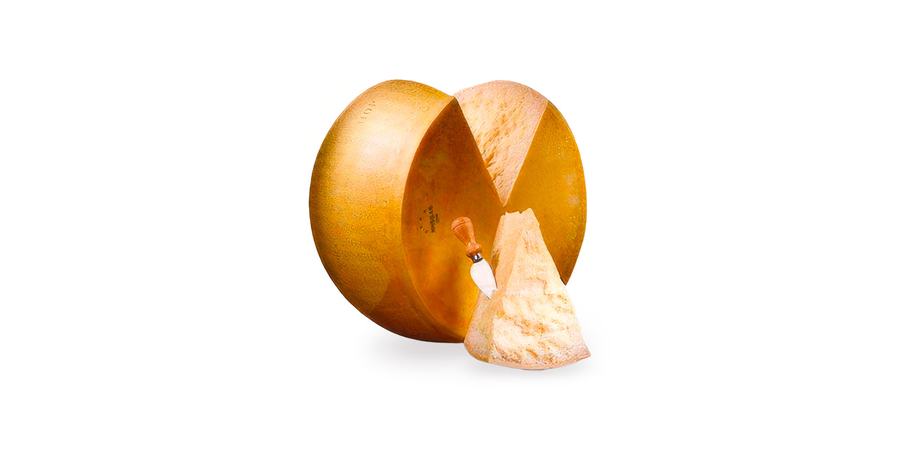 PARMIGIANO REGGIANO